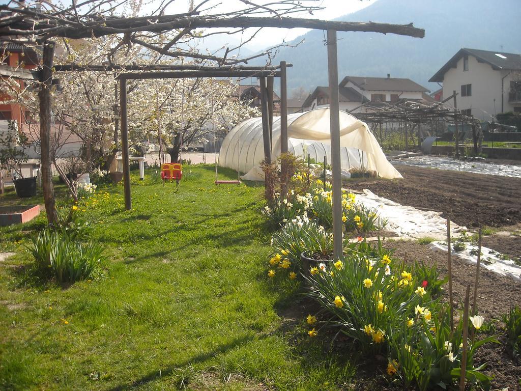 Agriturismo Bortolotti Перджине-Вальсугана Екстер'єр фото